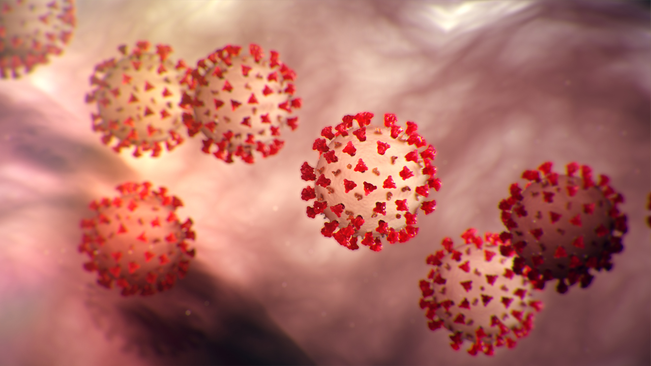 image of coronavirus